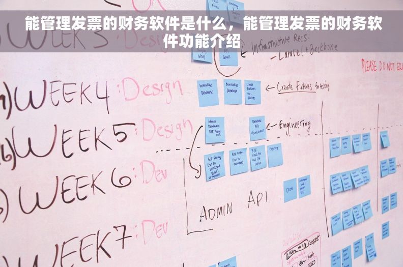  能管理发票的财务软件是什么，能管理发票的财务软件功能介绍