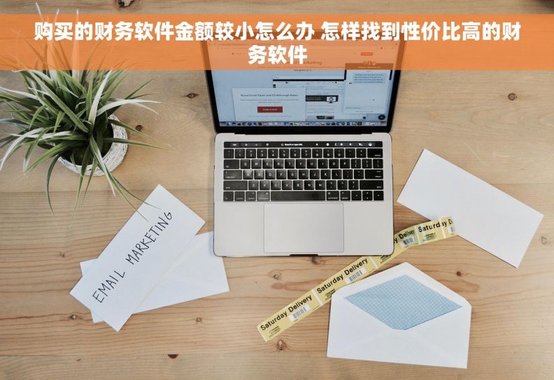 购买的财务软件金额较小怎么办 怎样找到性价比高的财务软件