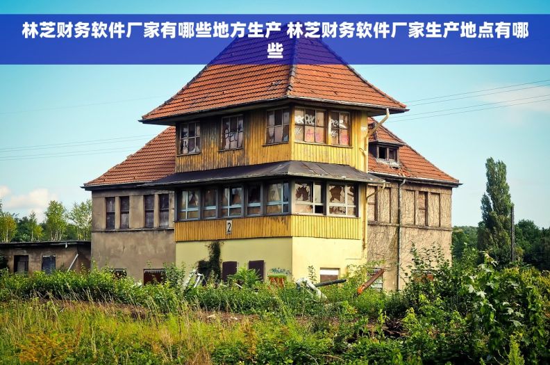 林芝财务软件厂家有哪些地方生产 林芝财务软件厂家生产地点有哪些