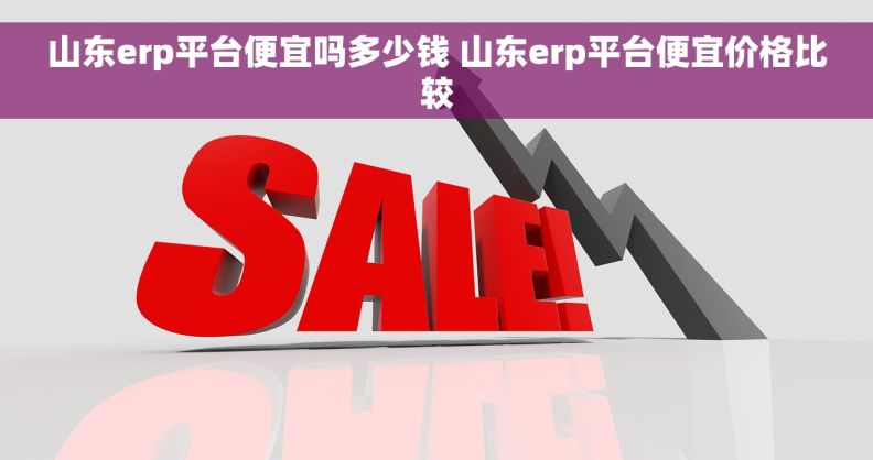 山东erp平台便宜吗多少钱 山东erp平台便宜价格比较