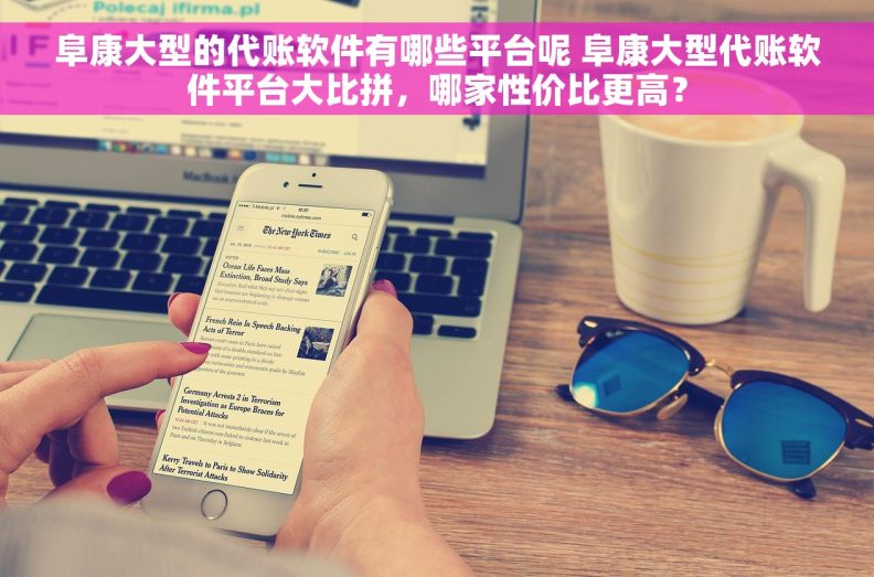 阜康大型的代账软件有哪些平台呢 阜康大型代账软件平台大比拼，哪家性价比更高？