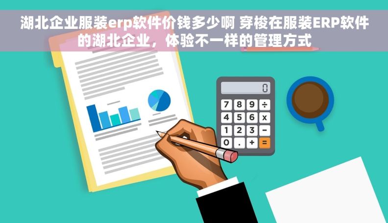 湖北企业服装erp软件价钱多少啊 穿梭在服装ERP软件的湖北企业，体验不一样的管理方式