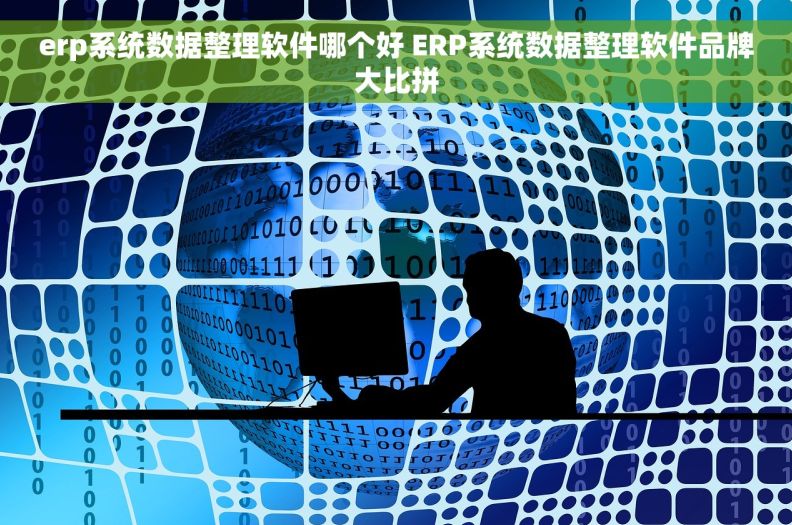 erp系统数据整理软件哪个好 ERP系统数据整理软件品牌大比拼