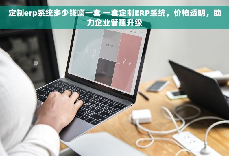 定制erp系统多少钱啊一套 一套定制ERP系统，价格透明，助力企业管理升级
