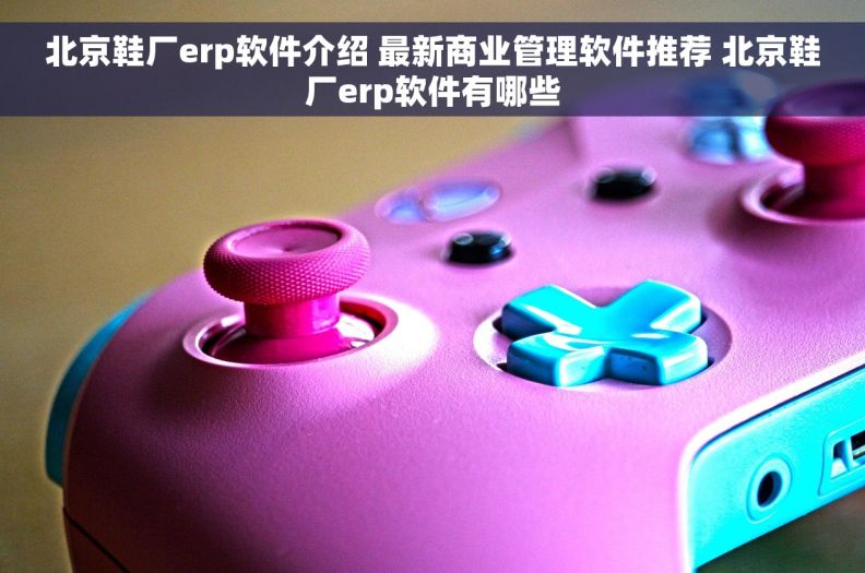 北京鞋厂erp软件介绍 最新商业管理软件推荐 北京鞋厂erp软件有哪些