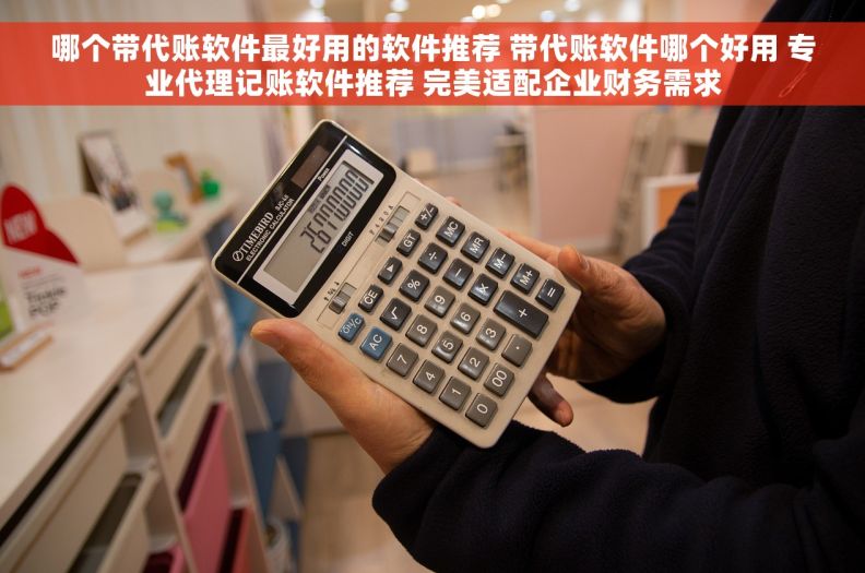 哪个带代账软件最好用的软件推荐 带代账软件哪个好用 专业代理记账软件推荐 完美适配企业财务需求