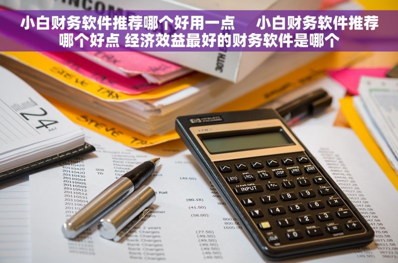 小白财务软件推荐哪个好用一点     小白财务软件推荐哪个好点 经济效益最好的财务软件是哪个