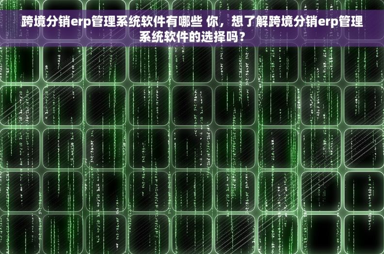 跨境分销erp管理系统软件有哪些 你，想了解跨境分销erp管理系统软件的选择吗？