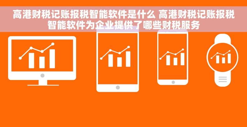 高港财税记账报税智能软件是什么 高港财税记账报税智能软件为企业提供了哪些财税服务