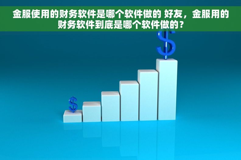 金服使用的财务软件是哪个软件做的 好友，金服用的财务软件到底是哪个软件做的？
