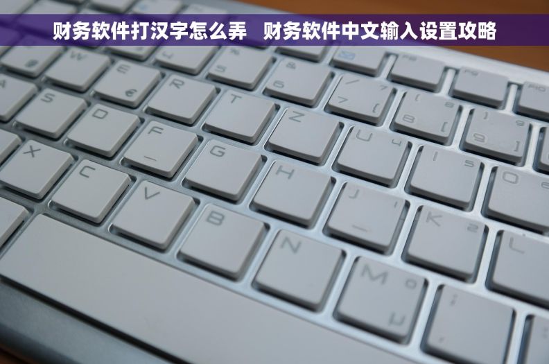 财务软件打汉字怎么弄   财务软件中文输入设置攻略