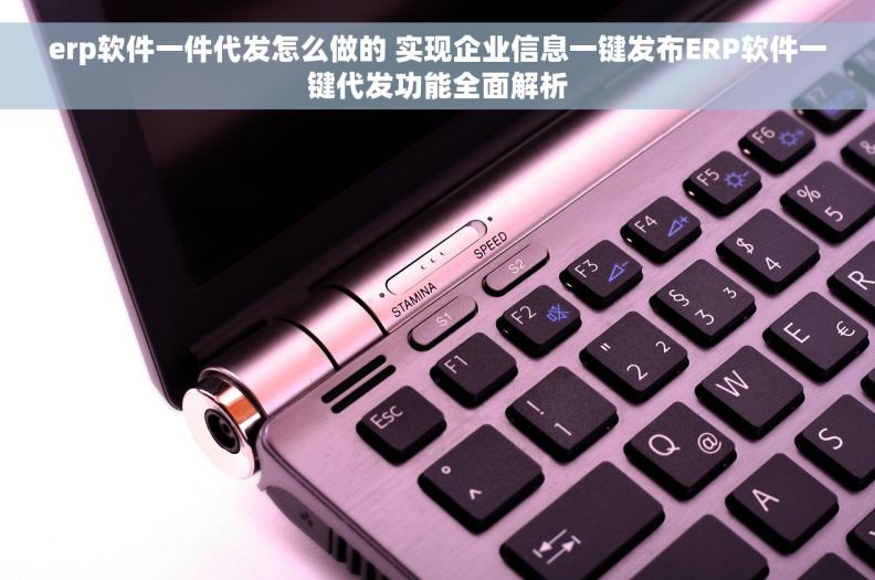 erp软件一件代发怎么做的 实现企业信息一键发布ERP软件一键代发功能全面解析