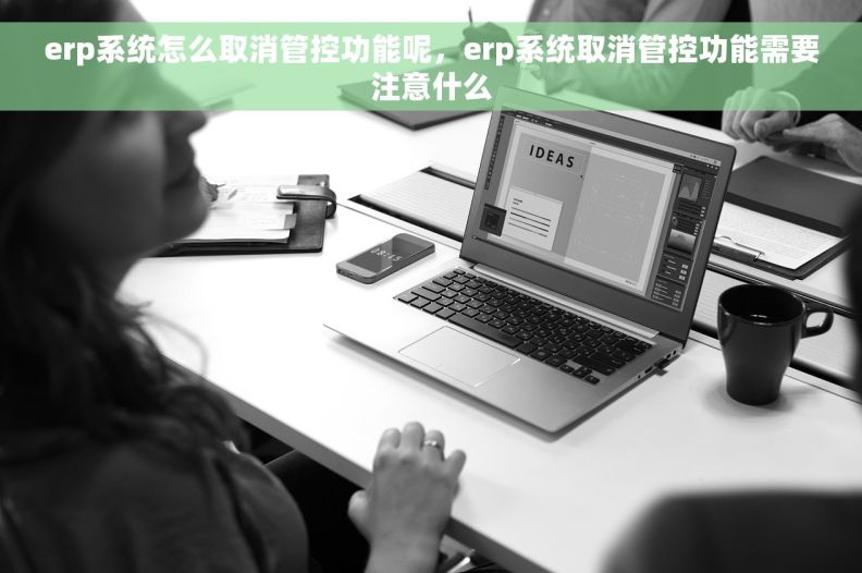 erp系统怎么取消管控功能呢，erp系统取消管控功能需要注意什么
