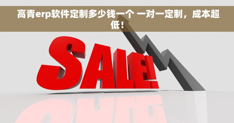  高青erp软件定制多少钱一个 一对一定制，成本超低！