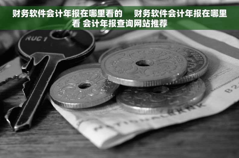 财务软件会计年报在哪里看的     财务软件会计年报在哪里看 会计年报查询网站推荐