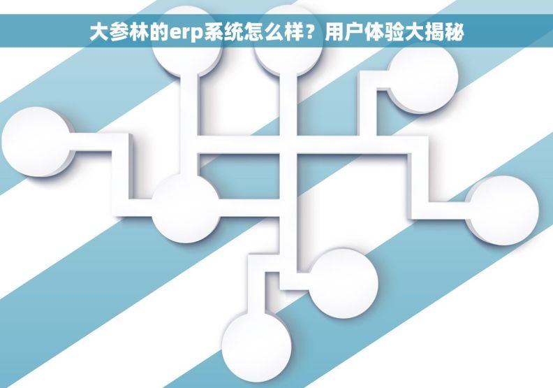 大参林的erp系统怎么样？用户体验大揭秘