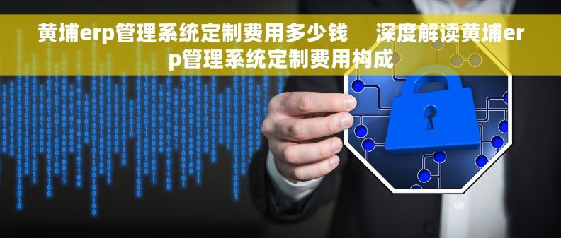 黄埔erp管理系统定制费用多少钱     深度解读黄埔erp管理系统定制费用构成