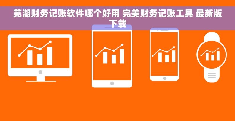 芜湖财务记账软件哪个好用 完美财务记账工具 最新版下载