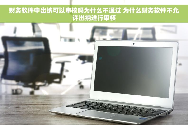 财务软件中出纳可以审核吗为什么不通过 为什么财务软件不允许出纳进行审核