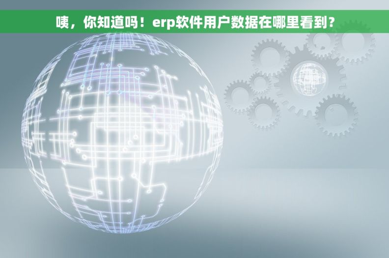 咦，你知道吗！erp软件用户数据在哪里看到？