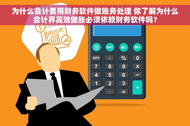 为什么会计要用财务软件做账务处理 你了解为什么会计界高效做账必须依赖财务软件吗？