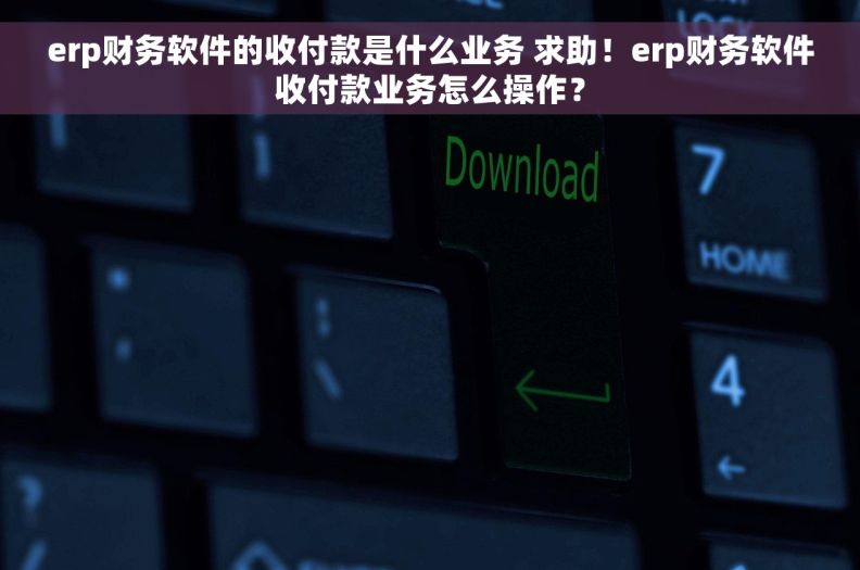 erp财务软件的收付款是什么业务 求助！erp财务软件收付款业务怎么操作？
