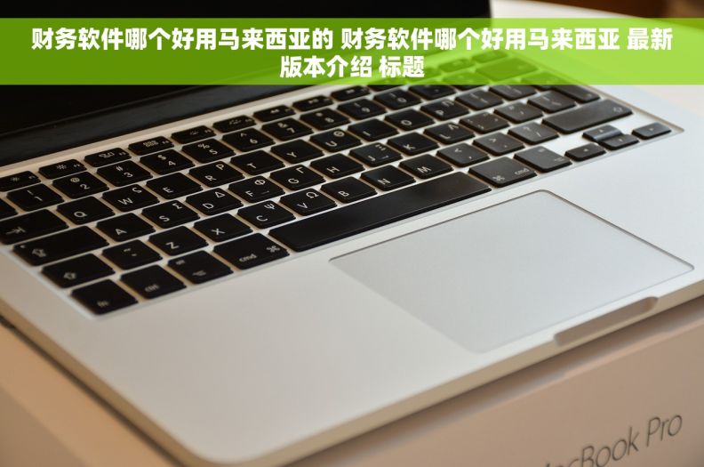财务软件哪个好用马来西亚的 财务软件哪个好用马来西亚 最新版本介绍 标题