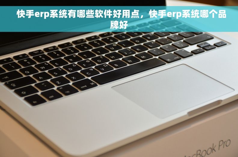   快手erp系统有哪些软件好用点，快手erp系统哪个品牌好
