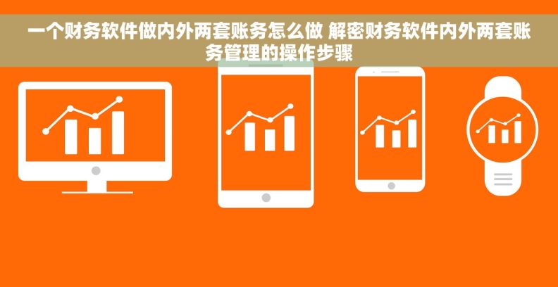 一个财务软件做内外两套账务怎么做 解密财务软件内外两套账务管理的操作步骤