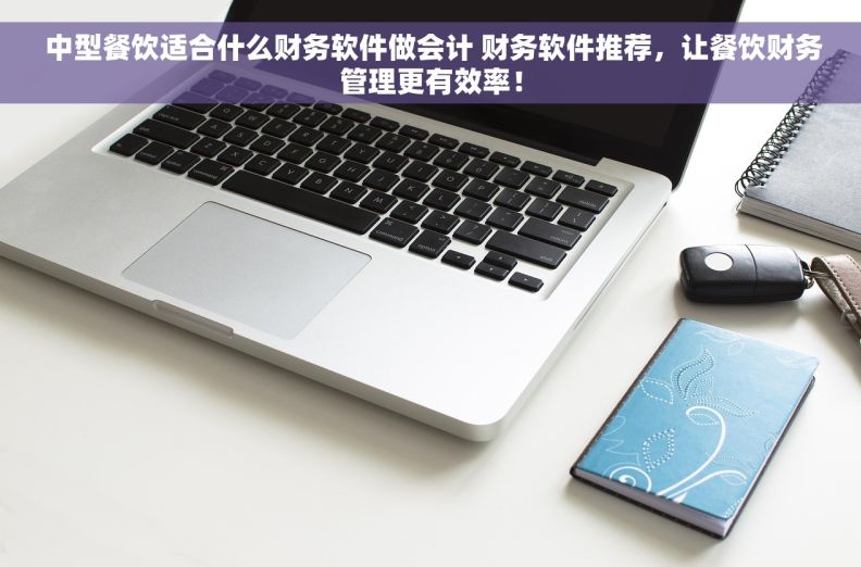  中型餐饮适合什么财务软件做会计 财务软件推荐，让餐饮财务管理更有效率！