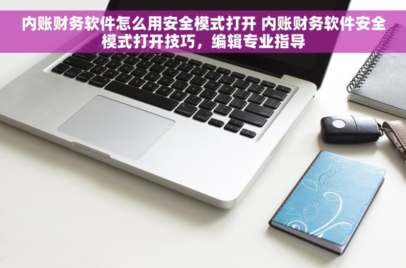 内账财务软件怎么用安全模式打开 内账财务软件安全模式打开技巧，编辑专业指导
