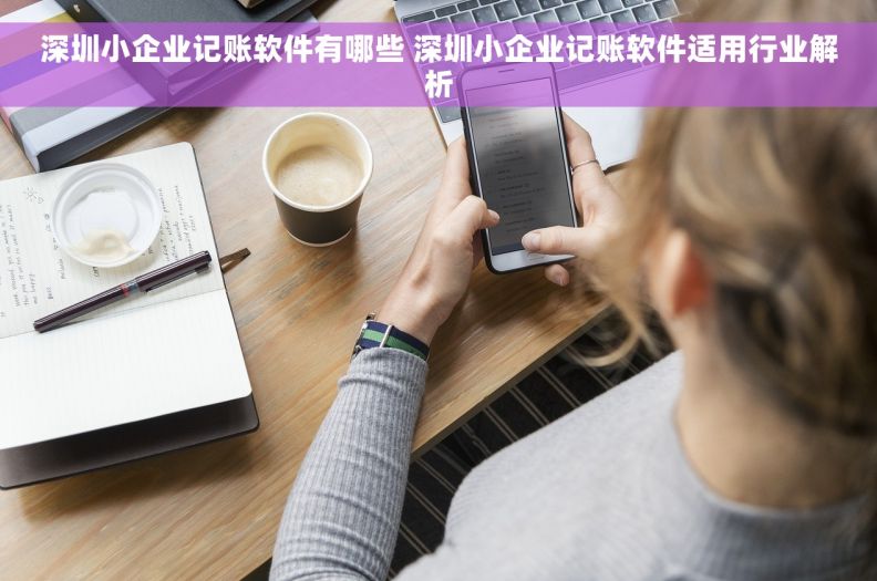 深圳小企业记账软件有哪些 深圳小企业记账软件适用行业解析