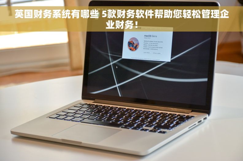 英国财务系统有哪些 5款财务软件帮助您轻松管理企业财务！