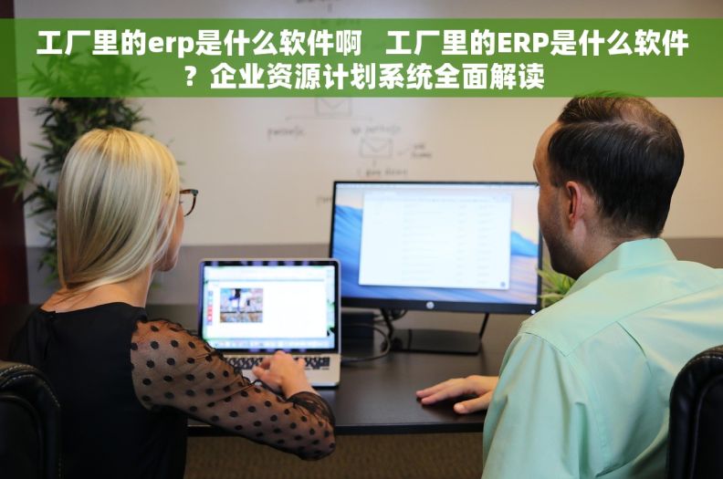 工厂里的erp是什么软件啊   工厂里的ERP是什么软件？企业资源计划系统全面解读
