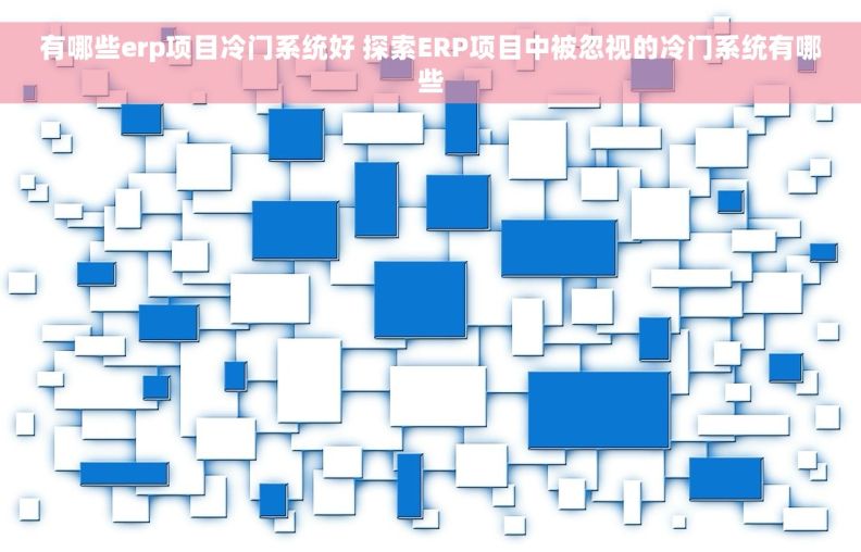 有哪些erp项目冷门系统好 探索ERP项目中被忽视的冷门系统有哪些