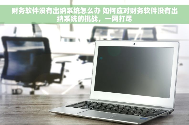 财务软件没有出纳系统怎么办 如何应对财务软件没有出纳系统的挑战，一网打尽