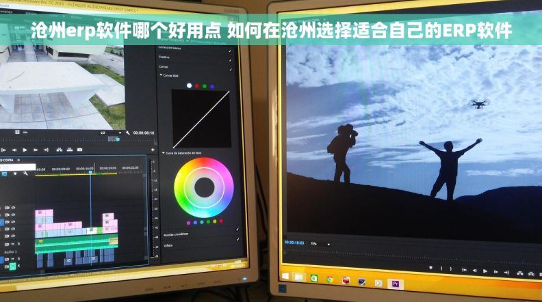沧州erp软件哪个好用点 如何在沧州选择适合自己的ERP软件