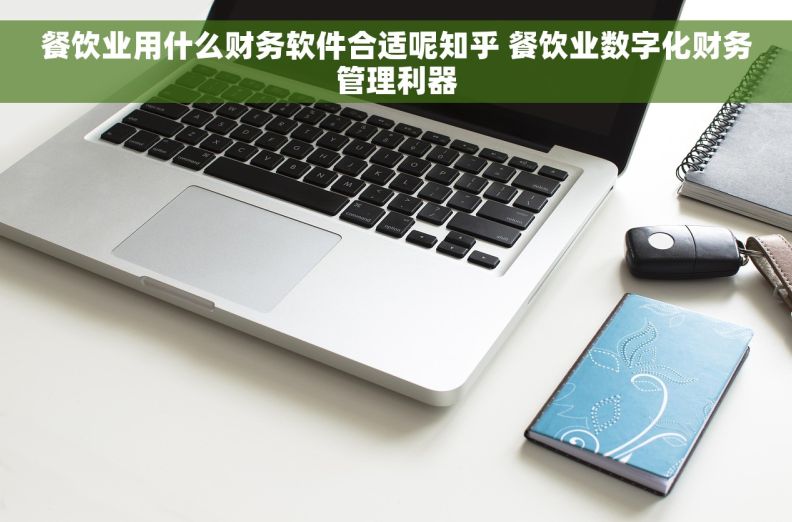 餐饮业用什么财务软件合适呢知乎 餐饮业数字化财务管理利器
