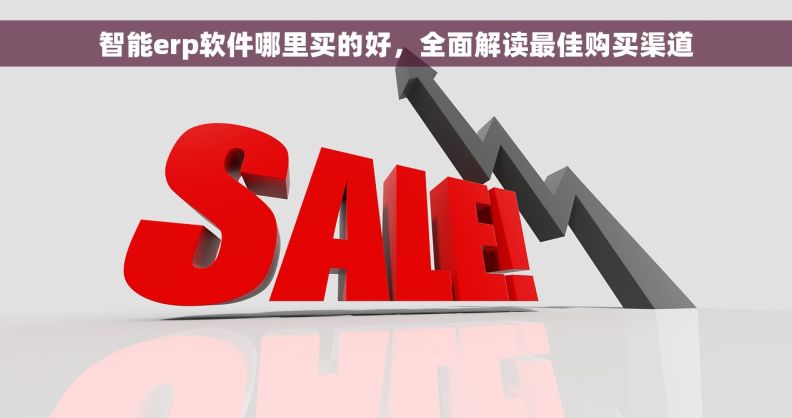 智能erp软件哪里买的好，全面解读最佳购买渠道