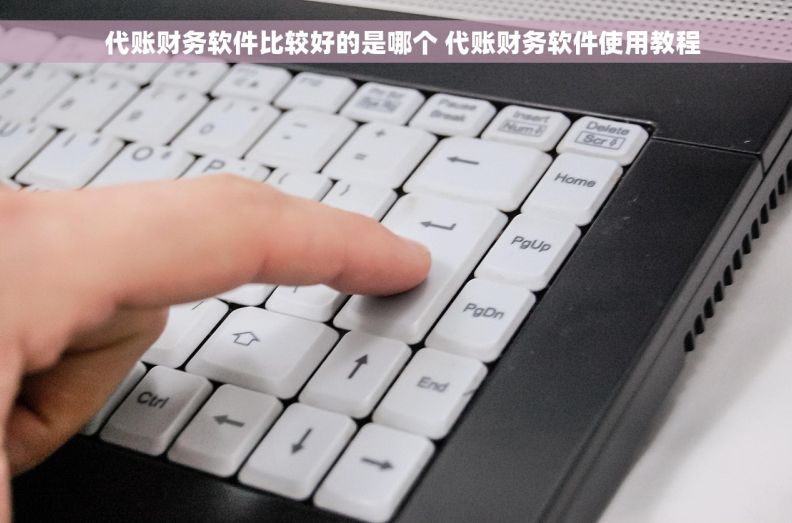   代账财务软件比较好的是哪个 代账财务软件使用教程