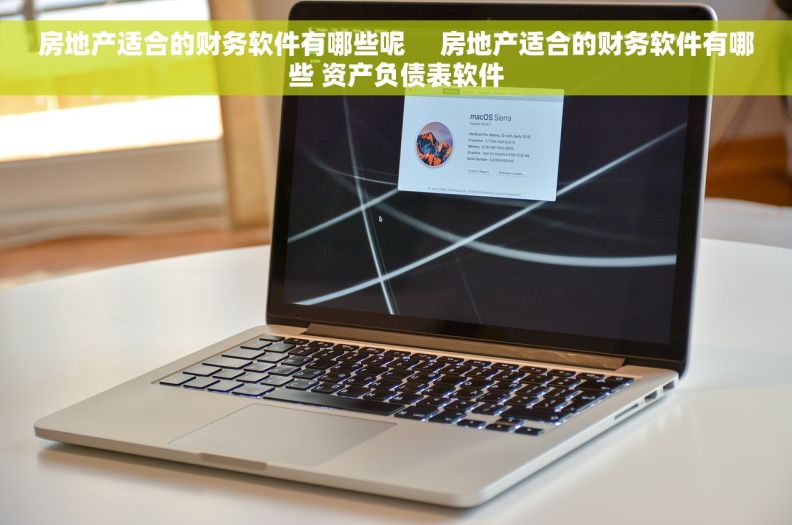 房地产适合的财务软件有哪些呢     房地产适合的财务软件有哪些 资产负债表软件