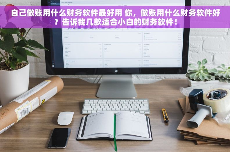 自己做账用什么财务软件最好用 你，做账用什么财务软件好？告诉我几款适合小白的财务软件！
