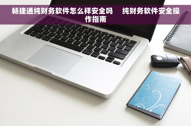 畅捷通纯财务软件怎么样安全吗     纯财务软件安全操作指南