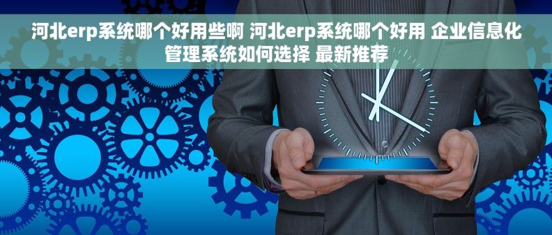 河北erp系统哪个好用些啊 河北erp系统哪个好用 企业信息化管理系统如何选择 最新推荐