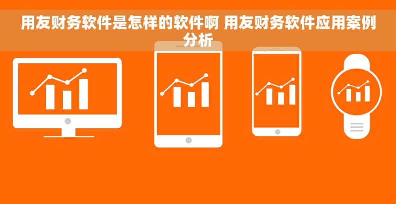 用友财务软件是怎样的软件啊 用友财务软件应用案例分析