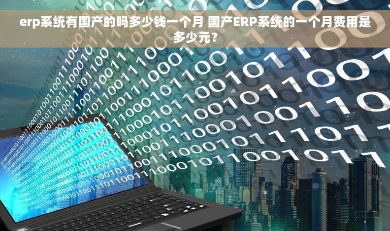 erp系统有国产的吗多少钱一个月 国产ERP系统的一个月费用是多少元？
