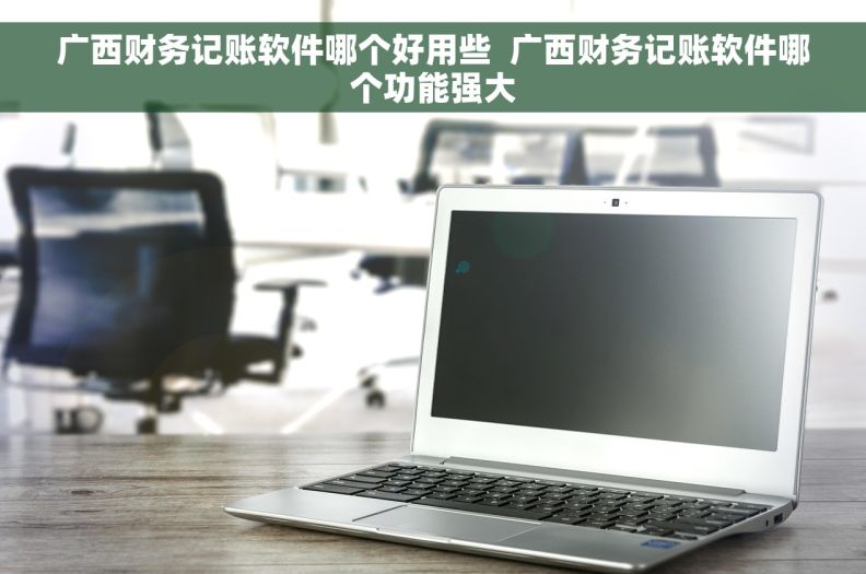 广西财务记账软件哪个好用些  广西财务记账软件哪个功能强大