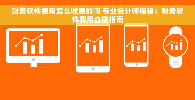 财务软件费用怎么收费的啊 专业会计师揭秘：财务软件费用血拼指南