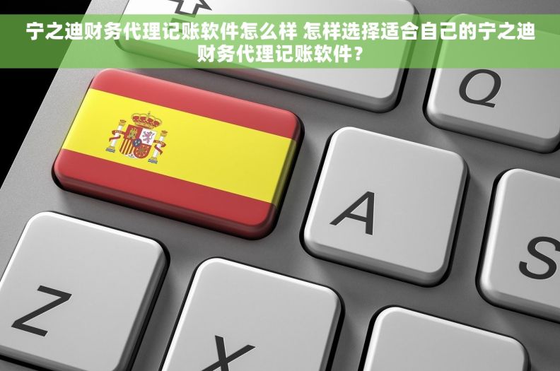 宁之迪财务代理记账软件怎么样 怎样选择适合自己的宁之迪财务代理记账软件？