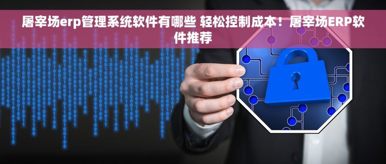 屠宰场erp管理系统软件有哪些 轻松控制成本！屠宰场ERP软件推荐